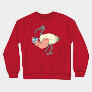 Anchor Arms Ibis Crewneck Sweatshirt